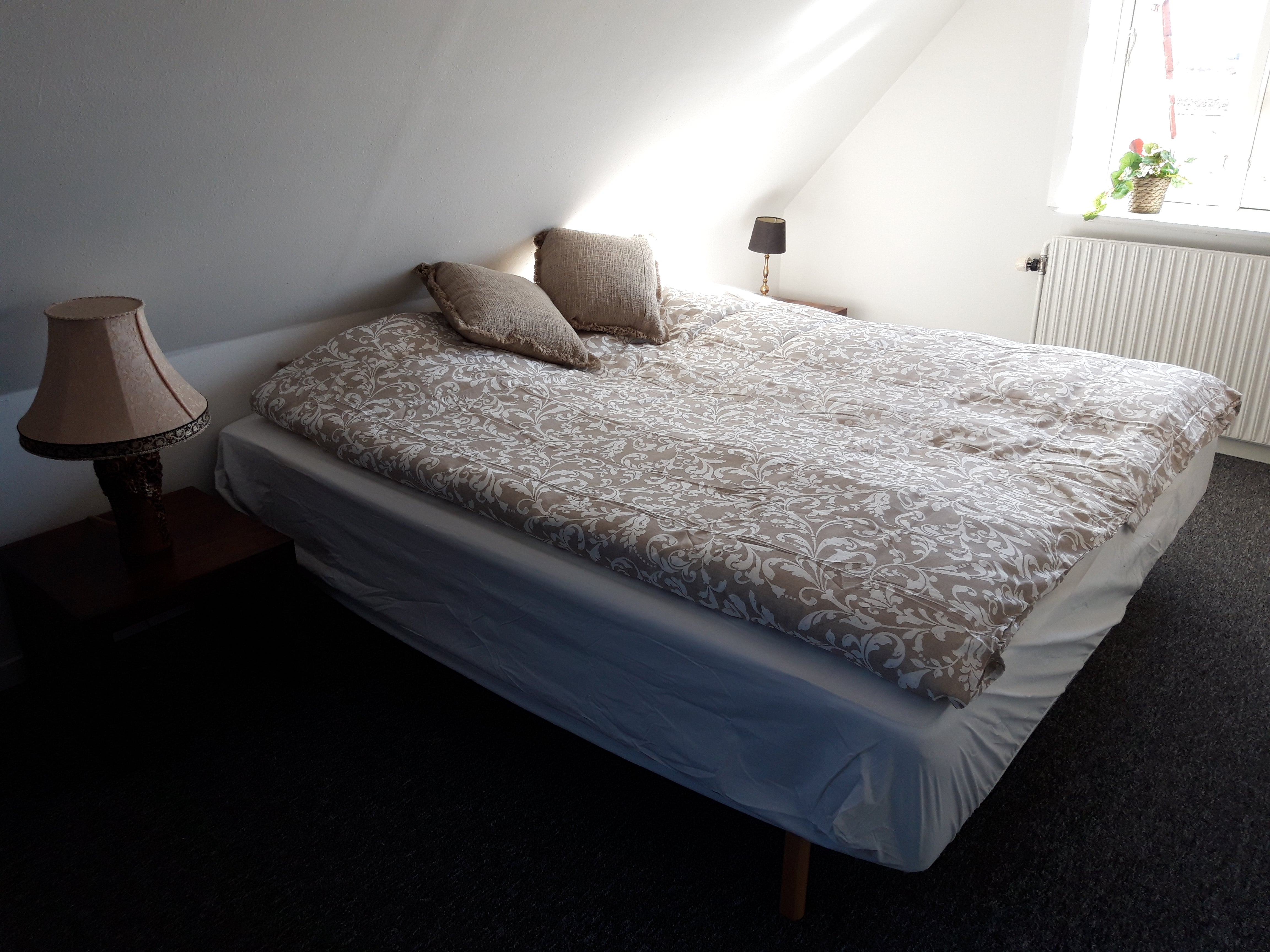 Bobbarækus' værelse på Møllevang bed & breakfast