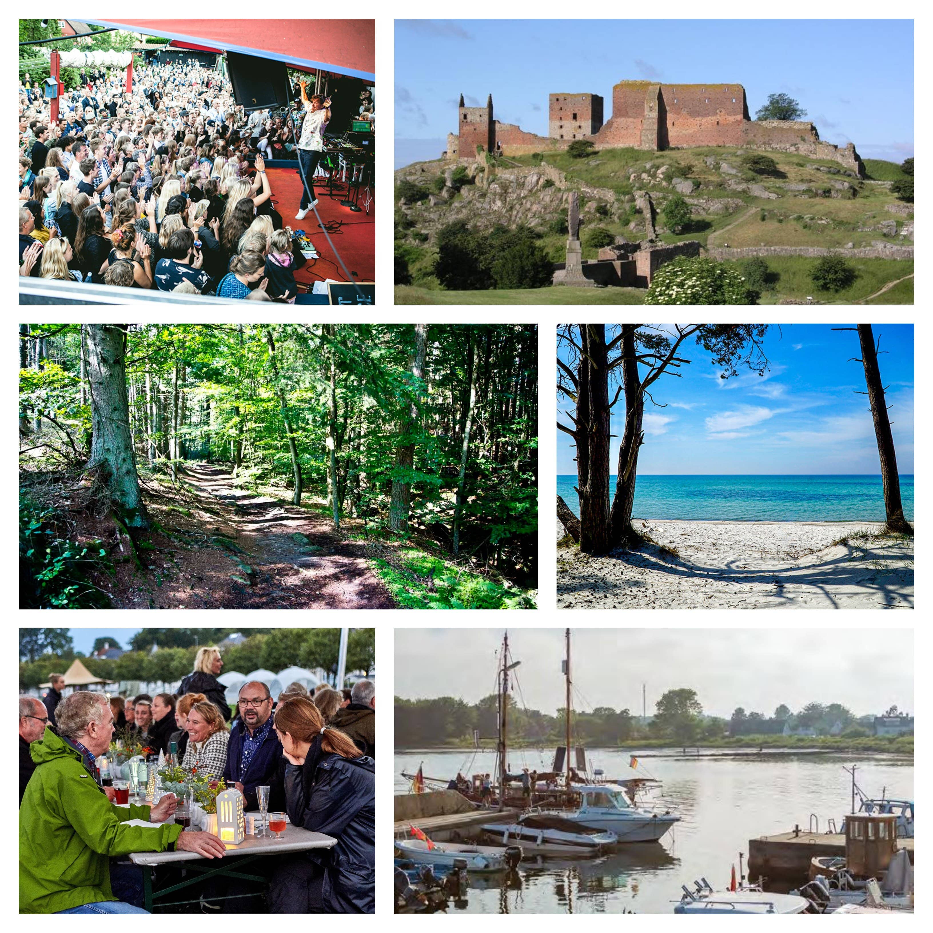 Det kan du opleve mens du er hos Møllevang bed & breakfast