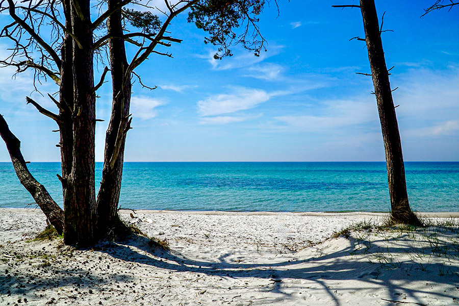 Strand nær Møllevang bed & breakfast